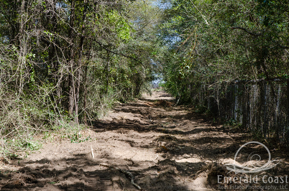 Leap Trail_20130326_014