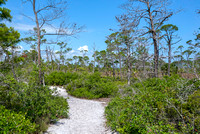 Cape San Blas Port St Joe Lifestyle Stock Photography