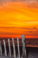 Pcolabeach033