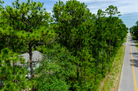 20 Wild Blueberry_20150522_031