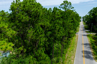 20 Wild Blueberry_20150522_032