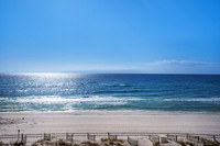 Palms 501_20221202_028