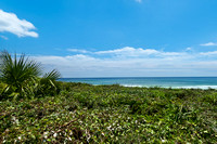 PalmsatSeagrove_A3_20210506_050