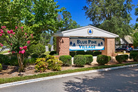 Blue Pine, Niceville, FL
