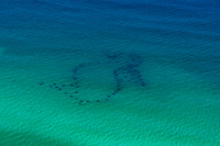 SeahorseEyeReef_20190507_252