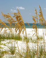 PensacolaBeach_DF__20060902_017