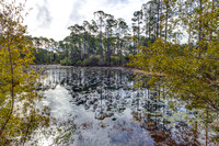 1221ProspectPromenade20140227_001HDR