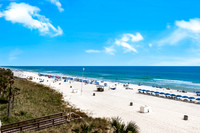 Celadon 304_20220416_056