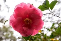 EdenGarden_8