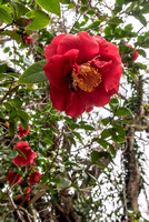 EdenGarden_19