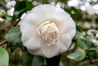 EdenGarden_14