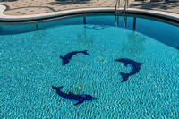 15_Emerald Dolphin Amenities_20121121_060